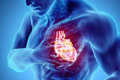 Cardiac Arrest vs. Heart Attack: Exploring the Variances for Better Awareness - Dubai Health, Personal Trainer
