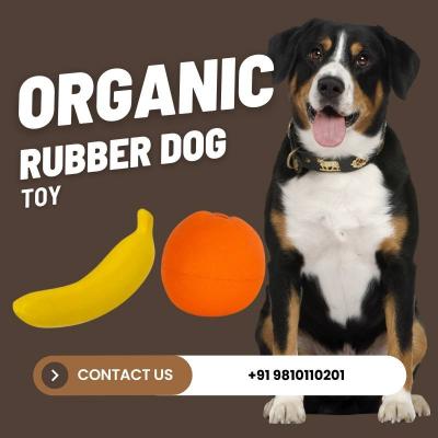 Organic Rubber Dog Toy Company - Quality Playtime for Pets! - Other Health, Personal Trainer