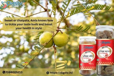 Amla Delights: Sweet & Chatpata Bliss for a Healthy Twist - Faridabad Other