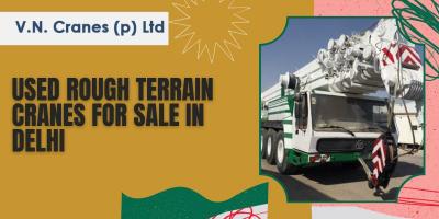 Used Rough Terrain Cranes for Sale in Delhi - Delhi Other