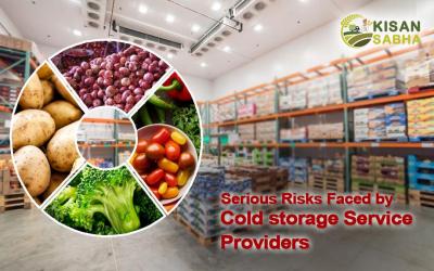 Premium Fertilizer Cold Storage Solutions in Collaboration with Kisan Sabha - Chandigarh Other