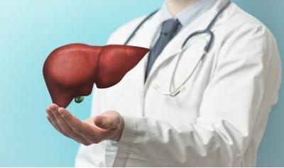 Understanding Liver Transplant Costs in India - Delhi Health, Personal Trainer