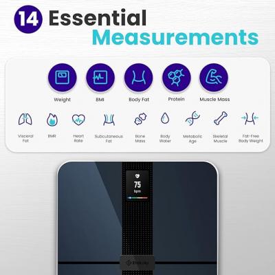 Accurate Body Fat Muscle Mass Biometric Analysis, Digital Bathroom Measurement Device for Fitness - Delhi Tools, Equipment