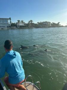 Dolphin Tours on Anna Maria Island - Four Keys Charters - Other Other