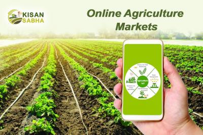 Discover the Future of Agriculture with Kisan Sabha's Online Market Platform!