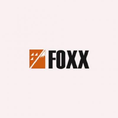 Unlocking Success in the German Automotive Market with Foxx Insights - Other Other