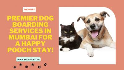 Premier Dog Boarding Services in Mumbai for a Happy Pooch Stay! - Mumbai Dogs, Puppies