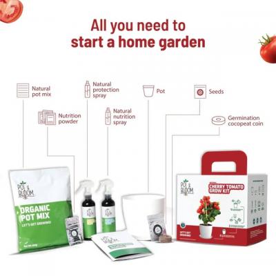 Buy Pot & Bloom Grow Kits: Nurture Your Green Thumb | PotandBloom.com - Delhi Home & Garden