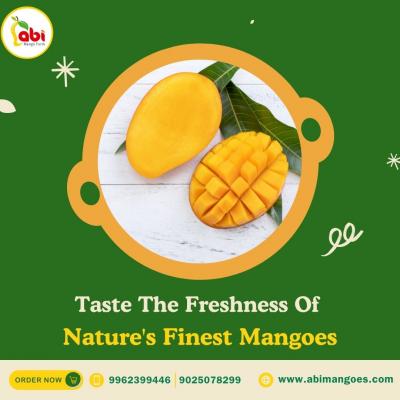 Abi Mangoes is a One of the Best Online Natural Tasty Mangoes Seller in Namakkal,Tamilnadu.  - Other Other