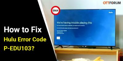 Hulu Error Code P-EDU103 - New York Other