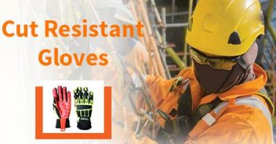 Buy Cut Resistant Gloves UAE - Takmeel Global - Dubai Tools, Equipment