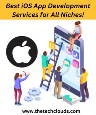  Best iOS App Development Services for All Niches!