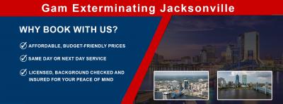 Gam Exterminating Jacksonville  - Jacksonville Professional Services