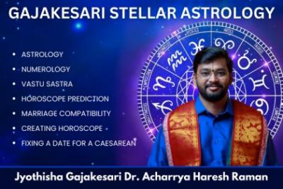 Best astrologer in Chennai | Acharyaa Hareesh Raman - Coimbatore Other