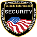 Top Level Security Services in USA