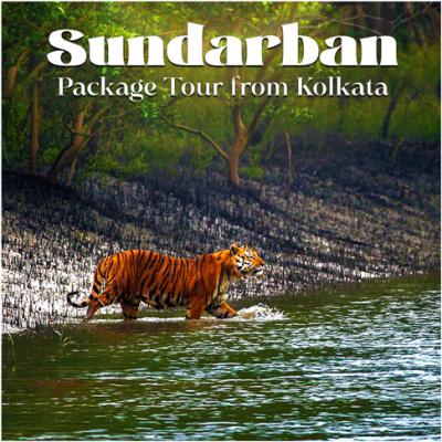 Sundarban Tour Booking from Kolkata - Kolkata Other