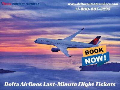 Delta Airlines Last-Minute Flight Tickets - Chicago Other