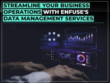 Streamline Your Business Operations with Expert Data Management Services from EnFuse