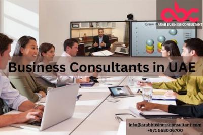 Strategic Arab business consultant in UAE, optimizing growth and profitability - Dubai Other
