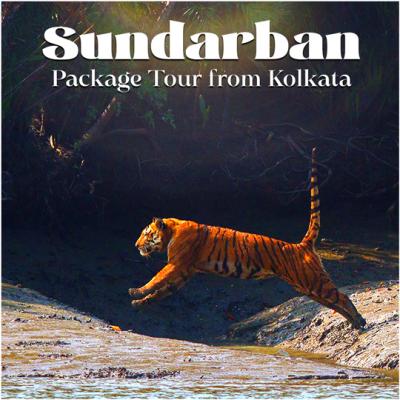 Sundarban Package Tour Cost from Kolkata - Get Best Rate