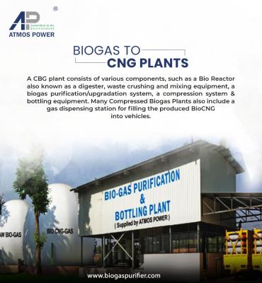 Biocng Plant Manufacturing Company in India