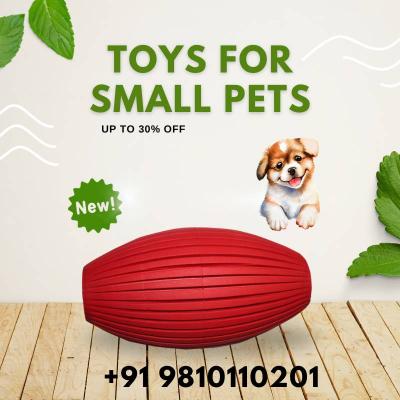 Enriching Playtime! Toys for Small Pets - Call +91 9810110201