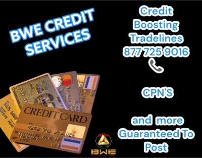 Credit Services - Other Professional Services