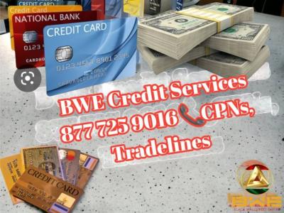 Credit Services - Other Professional Services