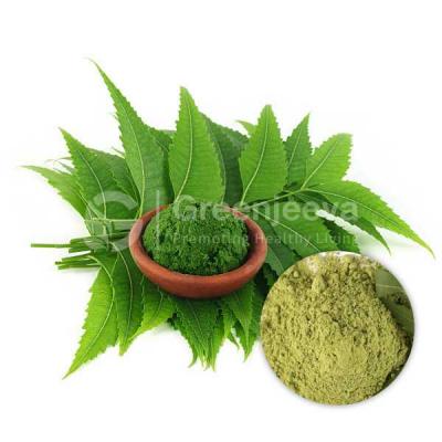 Wholesale Organic Neem Leaf Powder - Other Other