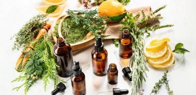 Essential Oils for Hair: Enhancing Health and Growth - Hyderabad Other