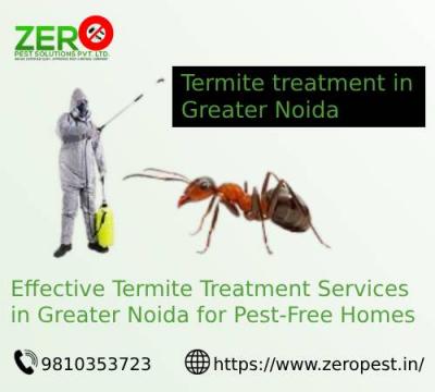 Effective Termite Treatment Solutions in Greater Noida | Trusted Pest Control Services