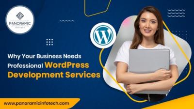 Custom WordPress Development Services Company - Virginia Beach Other