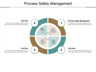 Process Safety Management for Ensuring Operational Excellence and Risk Mitigation - Delhi Other