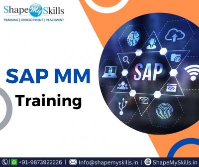 Growth Your Career with SAP MM Training in Noida at ShapeMySkills - Delhi Tutoring, Lessons