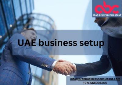 Strategic UAE Business Setup Consultant for Arab Entrepreneur's Success - Dubai Other