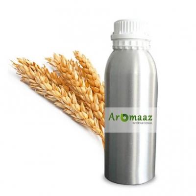 Bulk Wheatgerm Oil Suppliers and Manufacturers Online - New York Other