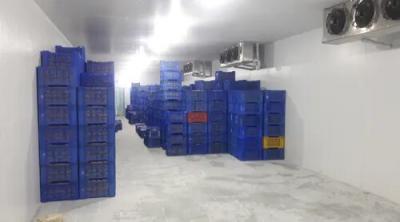 Cold storage manufacturers in India - Gujarat Other