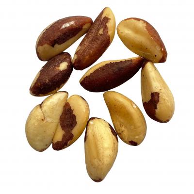Brazil Nuts at Price - Other Other