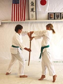 Aikido Classes in Florida - Other Other