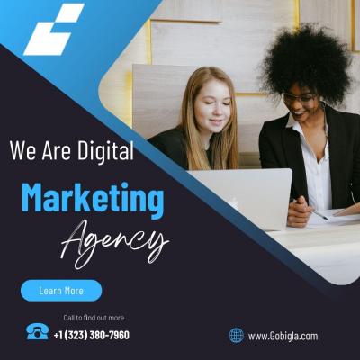 Digital Marketing Agency - Washington Other