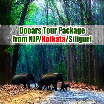 Dooars Tour Package from NJP with Hollong Tourist Lodge