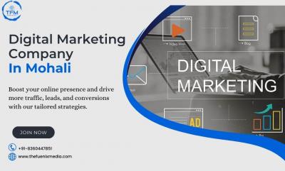 Digital Marketing Company in Mohali | TheFuenix Media  - Chandigarh Other