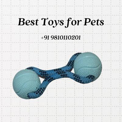 Best Toys for Pets! Explore Top-Quality Playtime - Call +91 9810110201