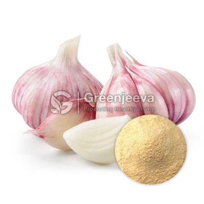 Wholesale Garlic Extract Powder - Other Other