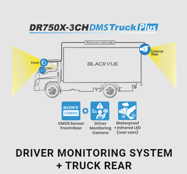 Driver Monitoring Systems - Singapore Region Other