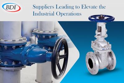 Flanges Supplier | Gate valves supplier in Abu Dhabi, UAE - BDI - Abu Dhabi Professional Services