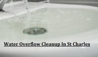 Expert Water Cleanup & HVAC Damage Services in St Charles - Other Professional Services