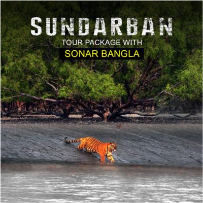 Sonar Bangla Sundarban Tour Package From Kolkata