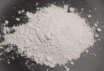Nature's Secret Weapon: Diatomaceous Earth Delights - Ahmedabad Other