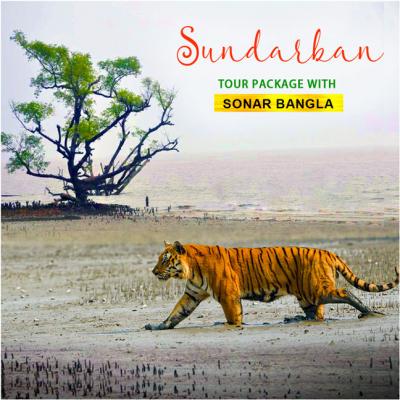 We Offer Sundarban Tour Package with Hotel Sonar Bangla, Book Now!